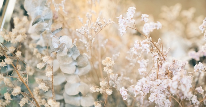 Hot Stone Massage in Calgary, Alberta — Relax and Rejuvenate at Arcadian Massage