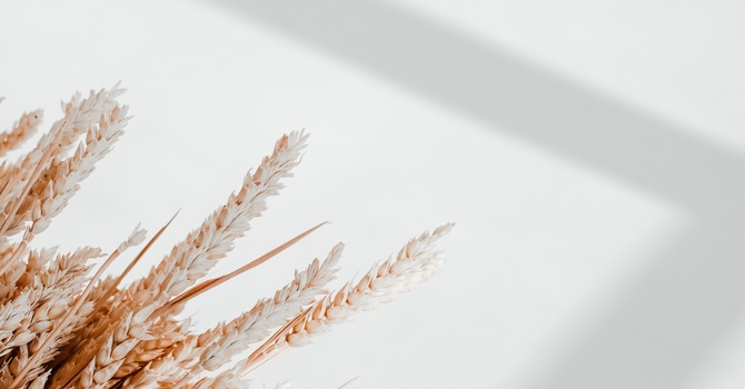 Hot Stone Massage in Calgary, Alberta — Relax and Rejuvenate at Arcadian Massage